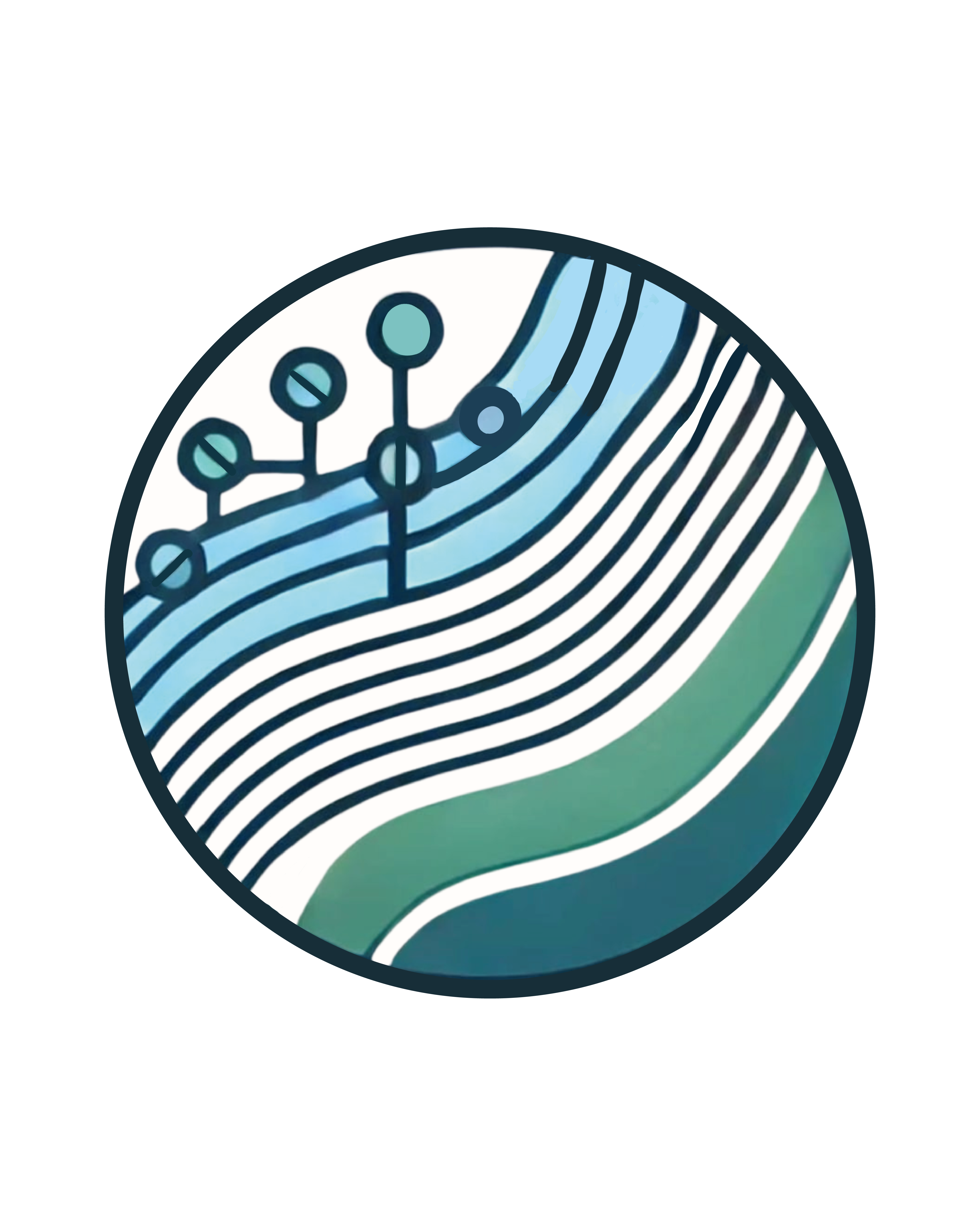 TSAA Logo